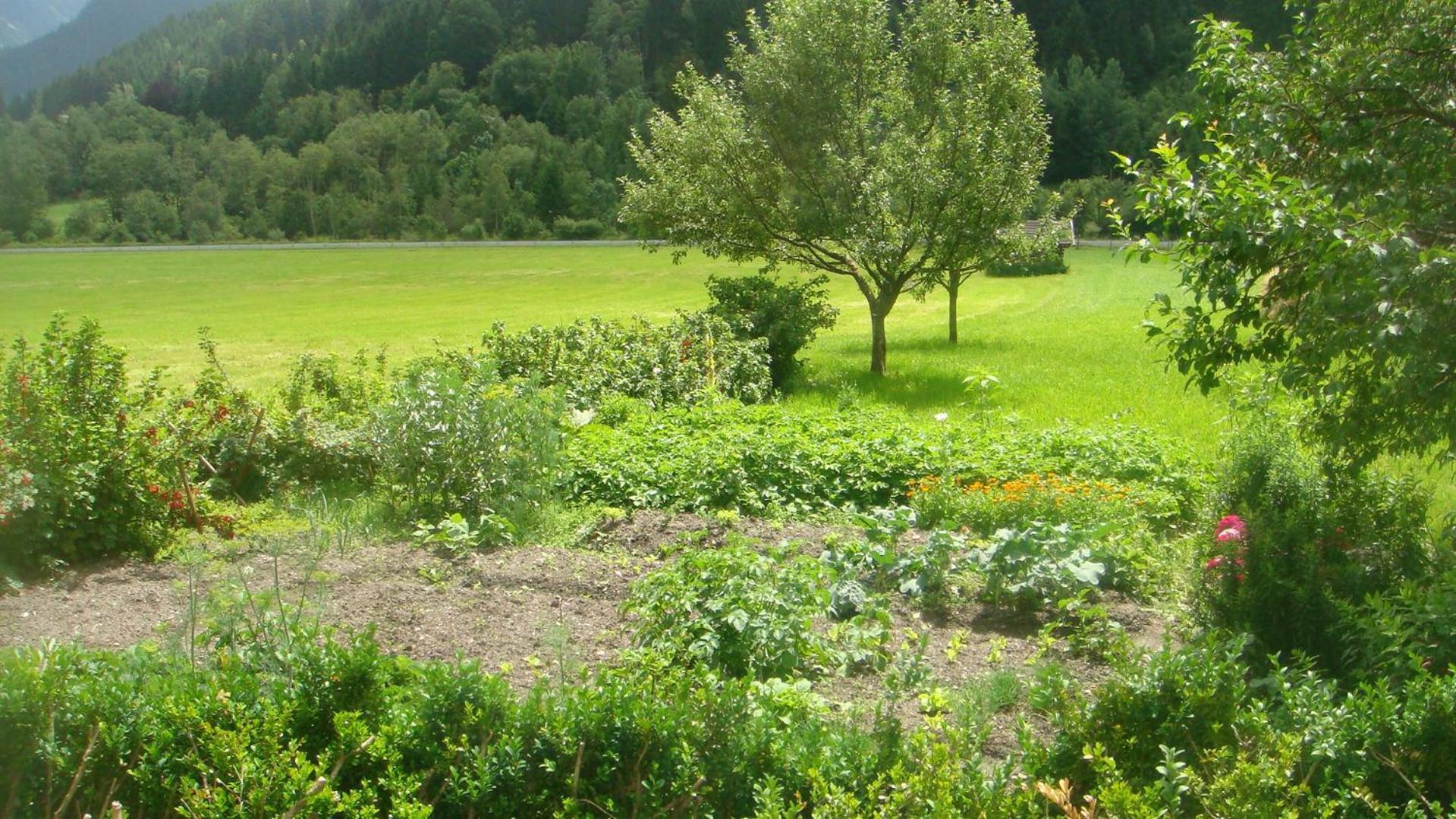 Bio-Bauernhof Obertrattenbachhof Neukirchen am Großvenediger Zewnętrze zdjęcie